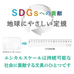 共栄プラスチック エシカルスケール 17cm 定規 名入れ