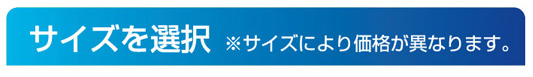 パイロット フリクション2 オリジナル デザイン チャーム 名入れ